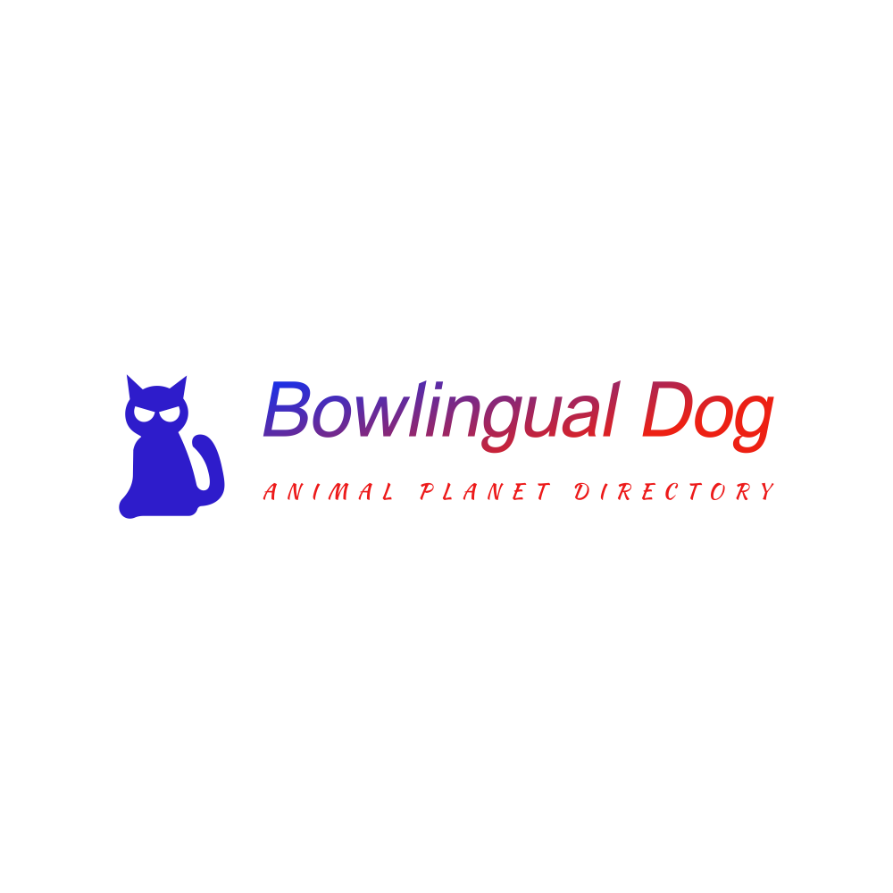 Bowlingual Dog